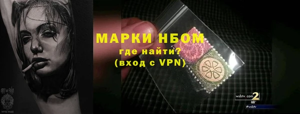 амф Бородино