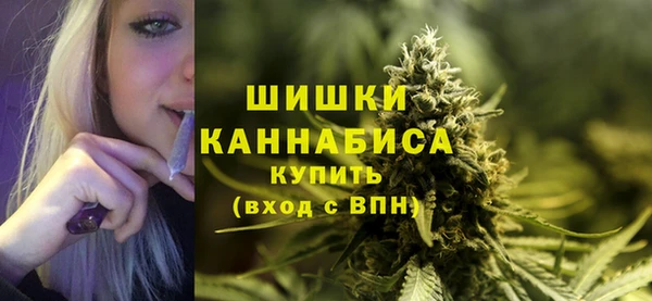 ALPHA PVP Снежногорск