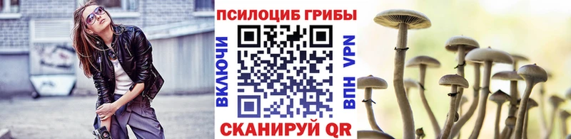 как найти закладки  Рузаевка  Галлюциногенные грибы Cubensis 